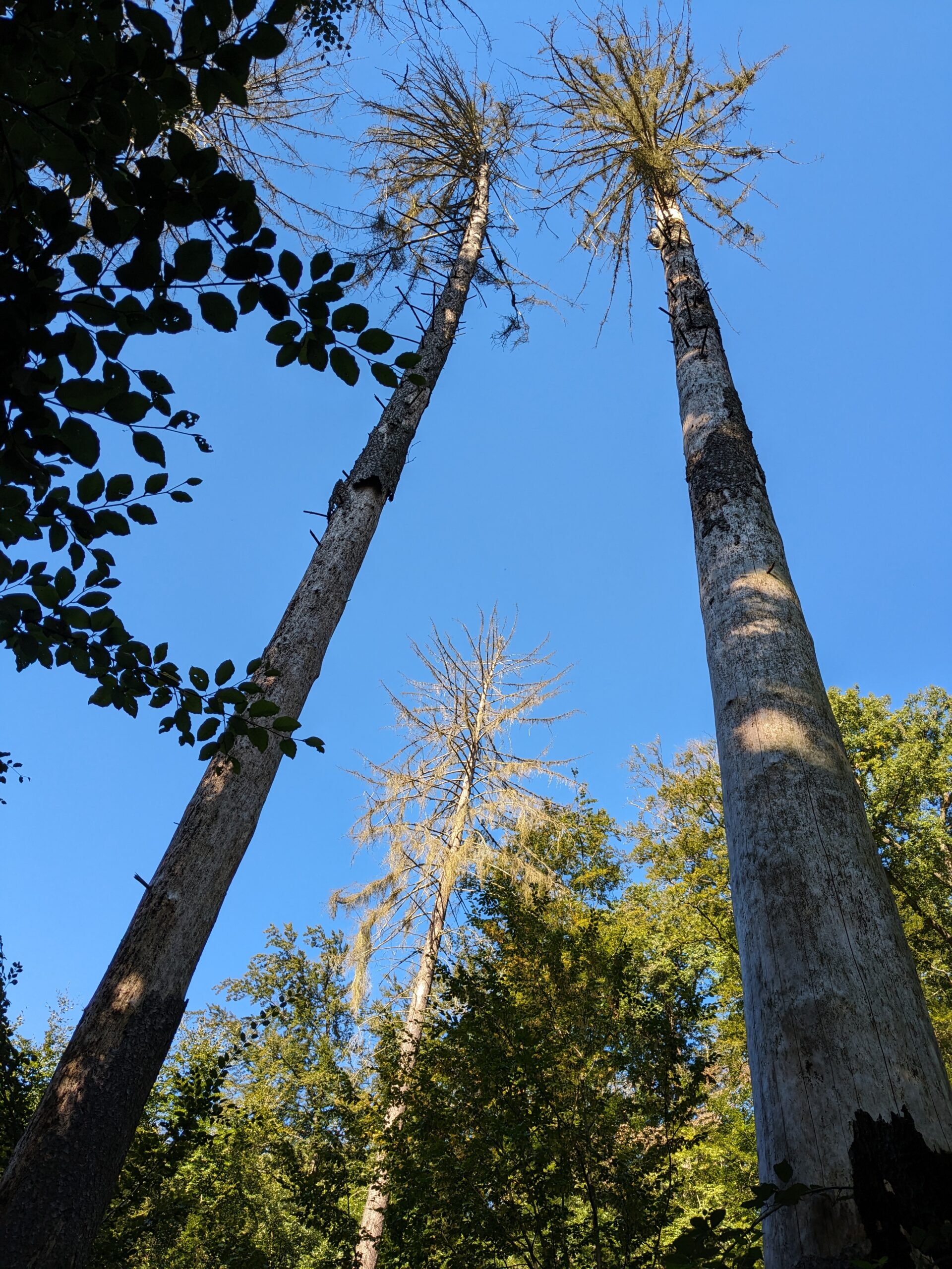 PXL_20230907_075506389(1)