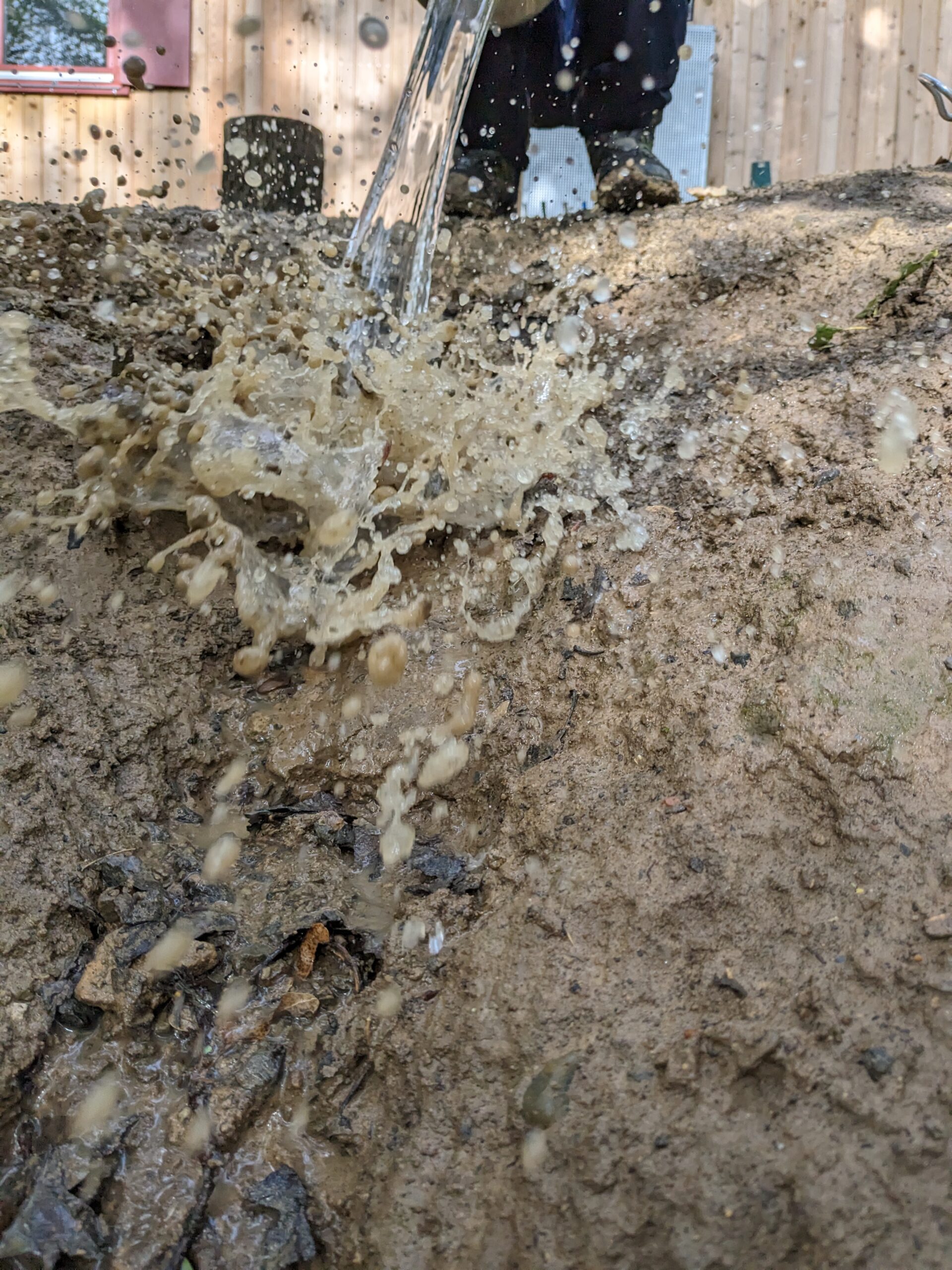 PXL_20230922_084756716