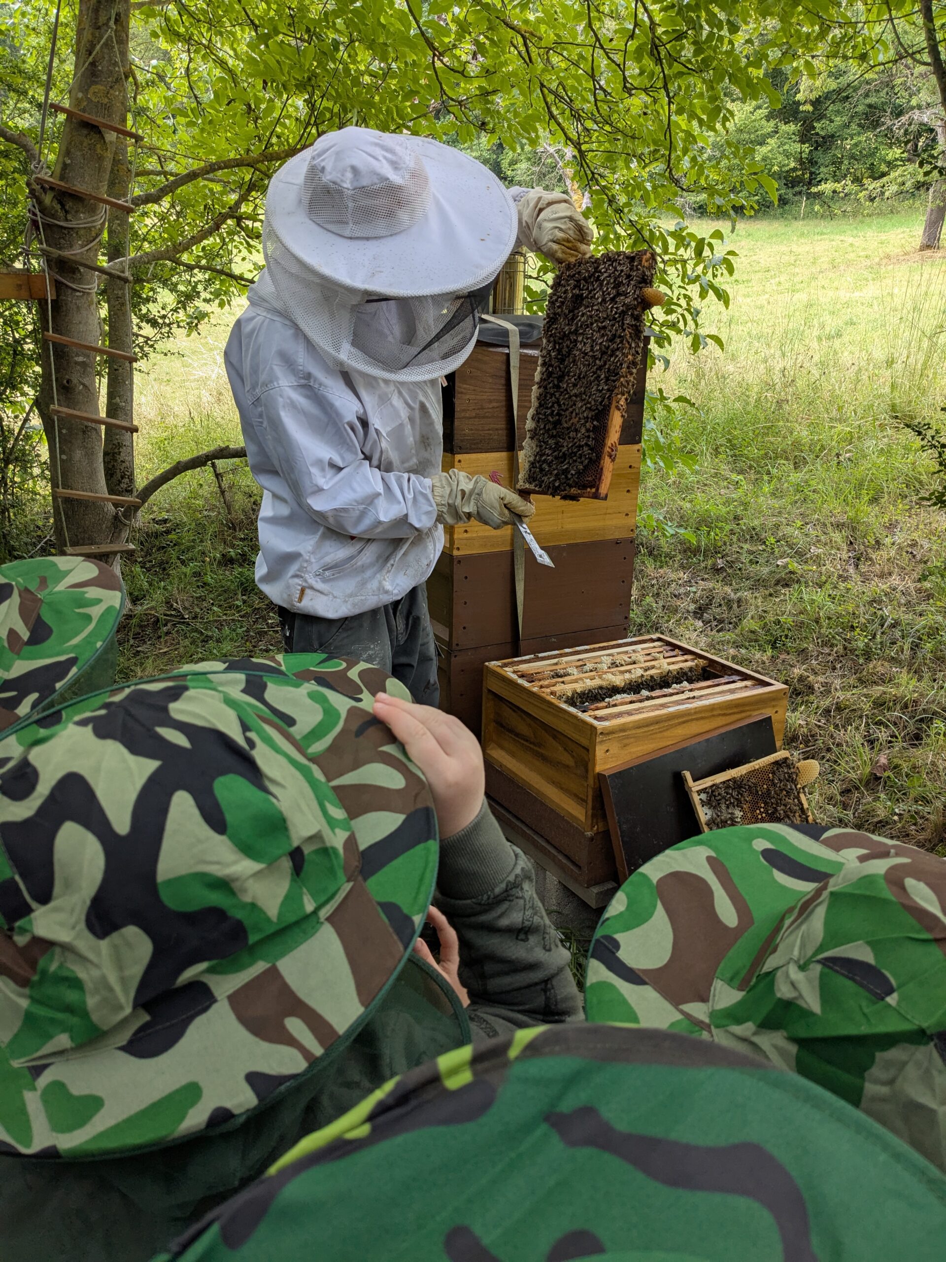 PXL_20250709_082457986