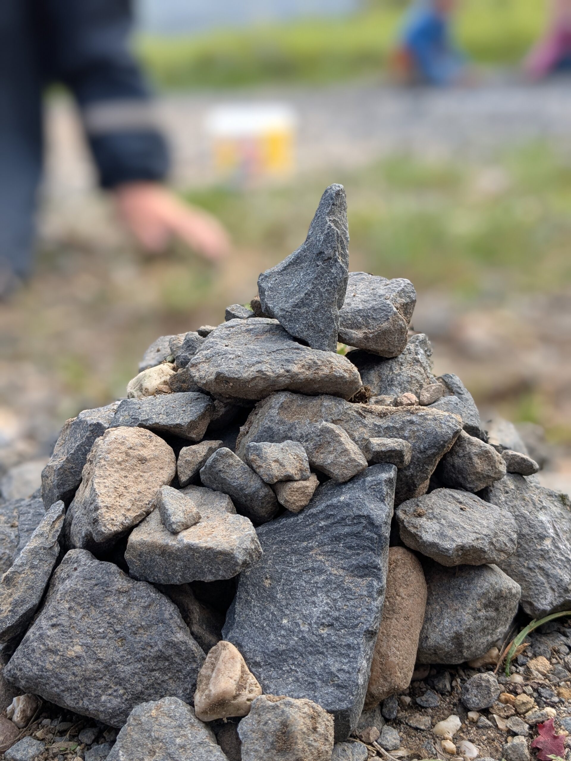 PXL_20250916_092643397.PORTRAIT