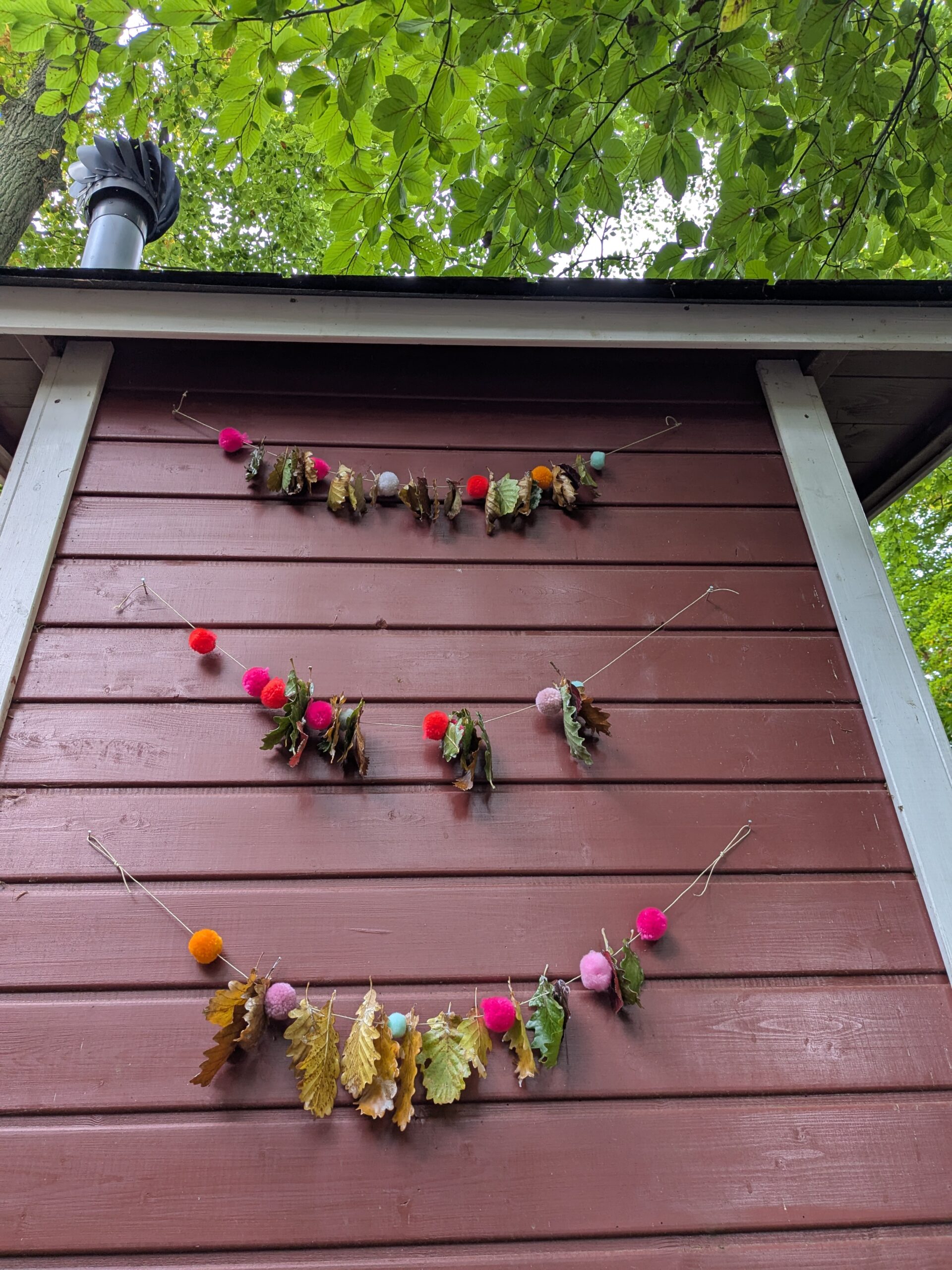 PXL_20251010_093527673