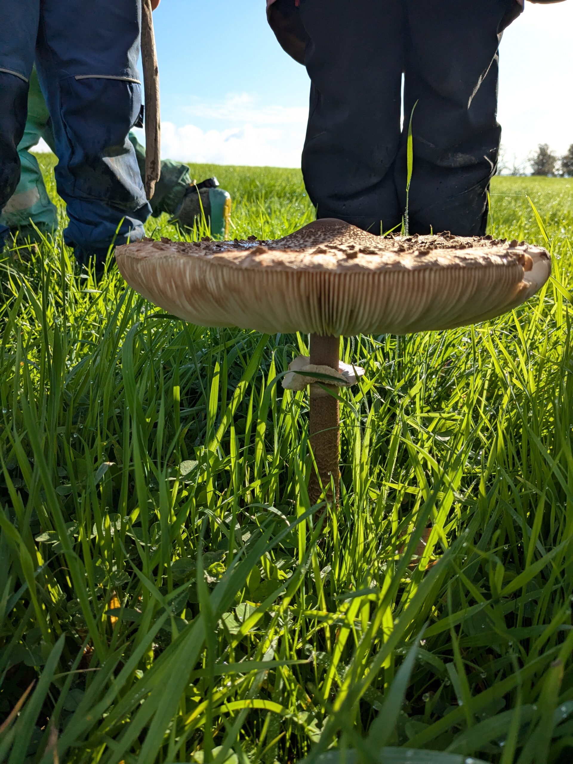 PXL_20251014_085102014(1)