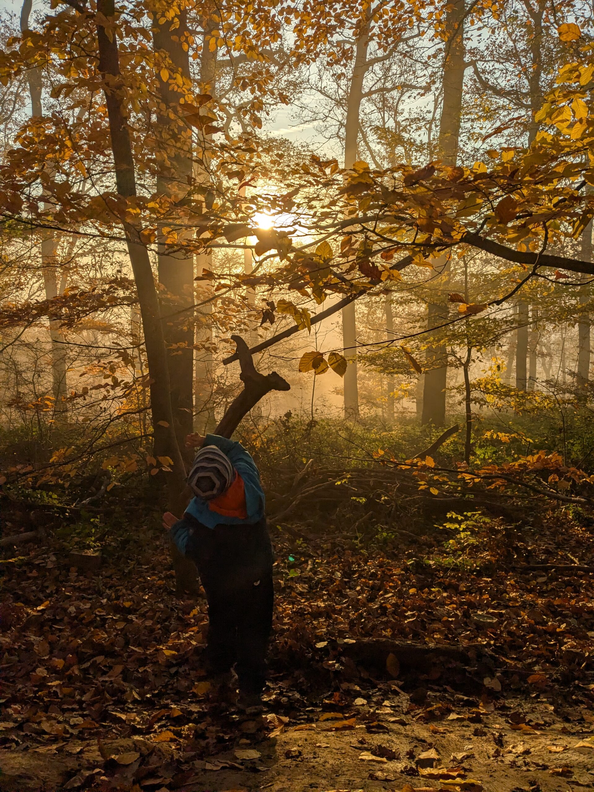 PXL_20251106_070504336