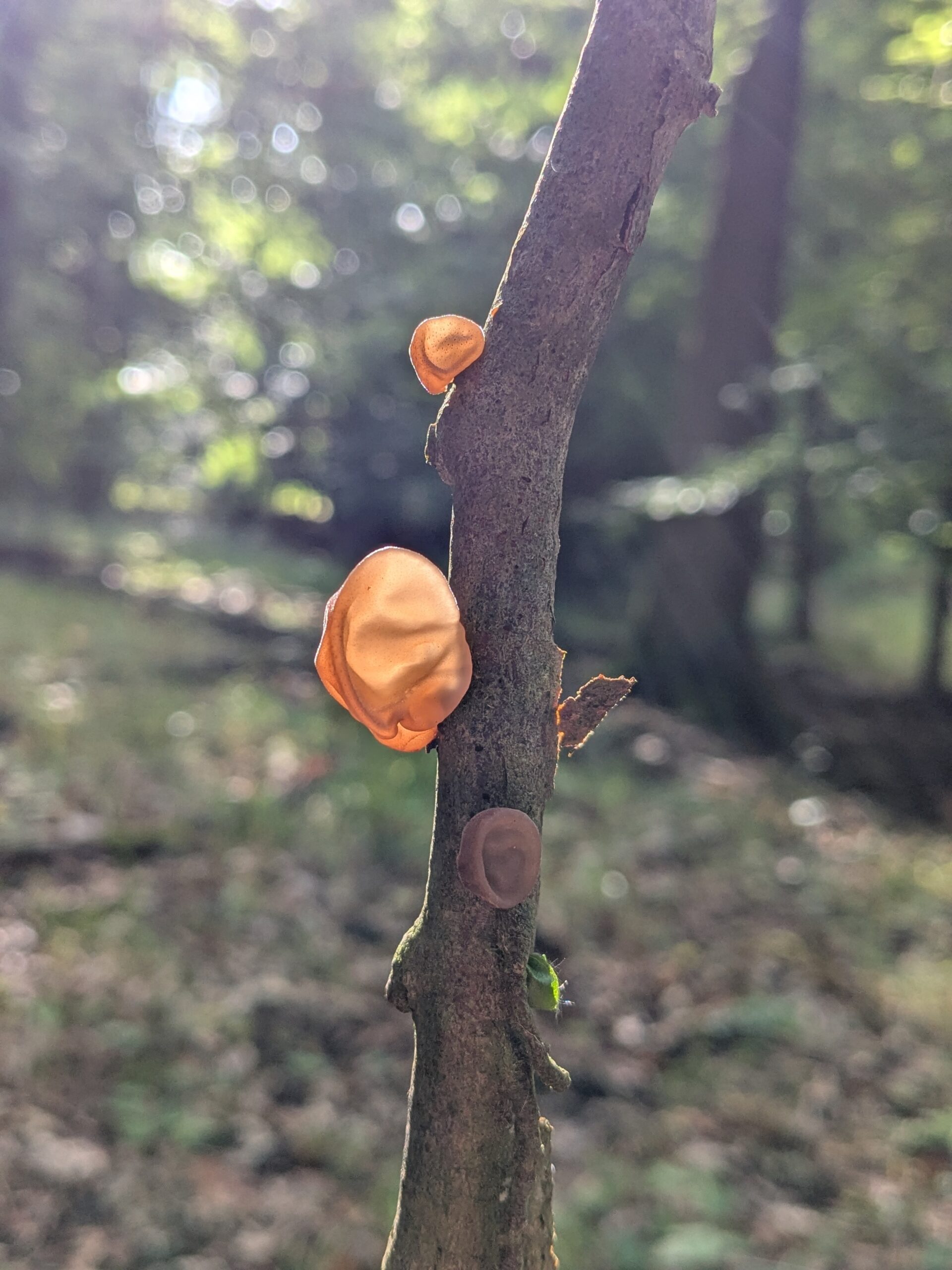 PXL_20250708_075503102.PORTRAIT.ORIGINAL