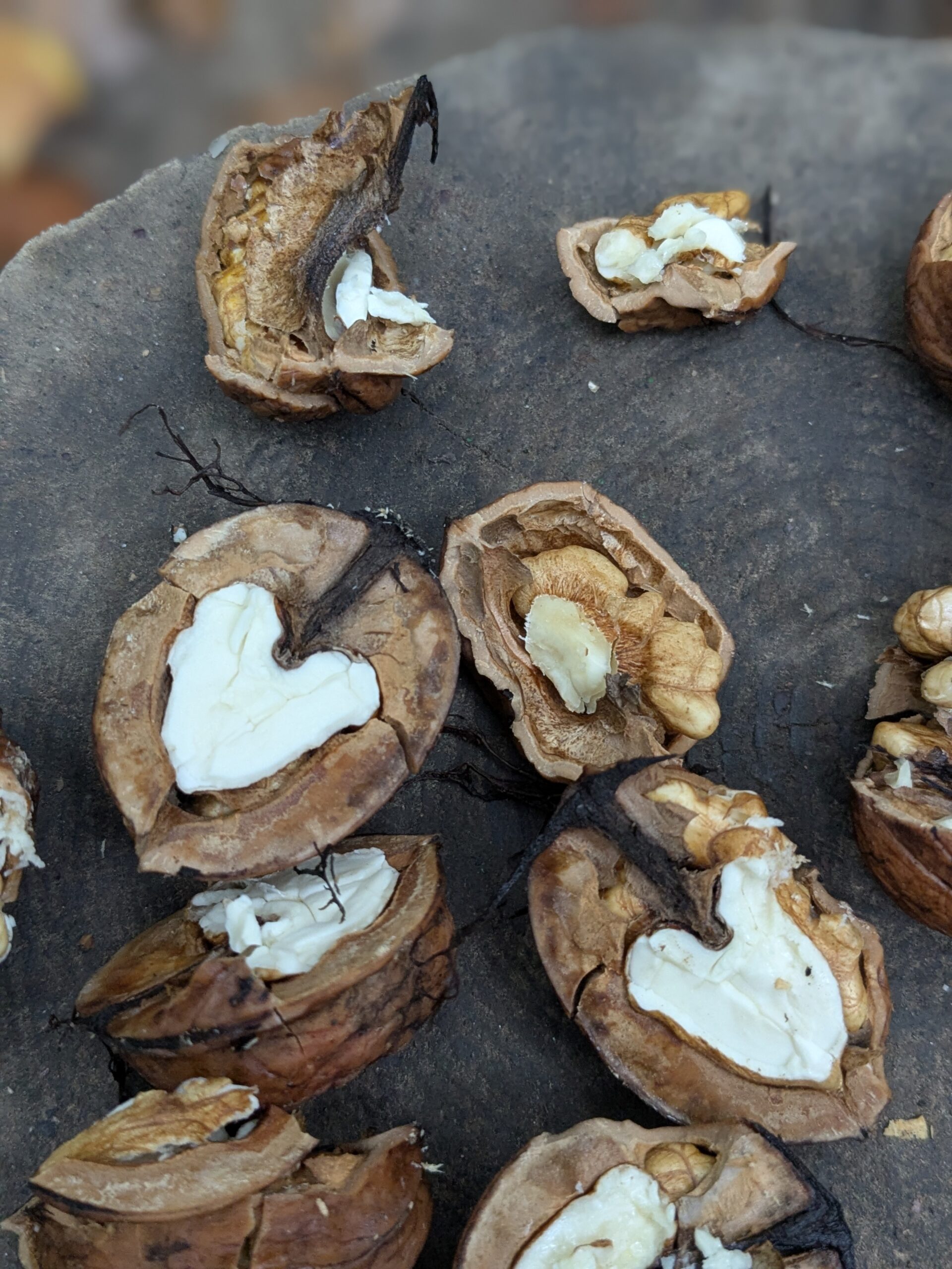 PXL_20251020_084821368.PORTRAIT