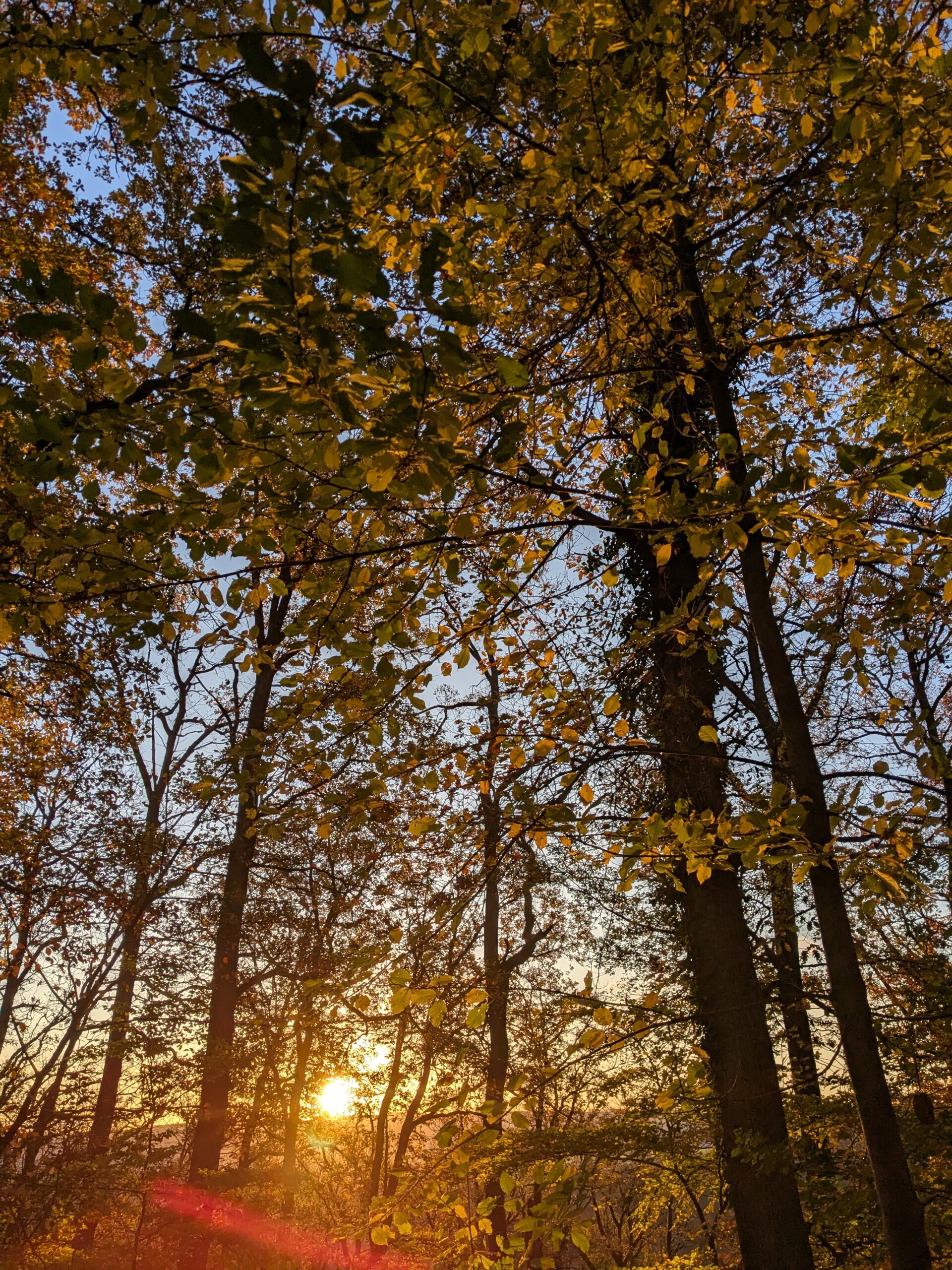 PXL_20251030_063538209