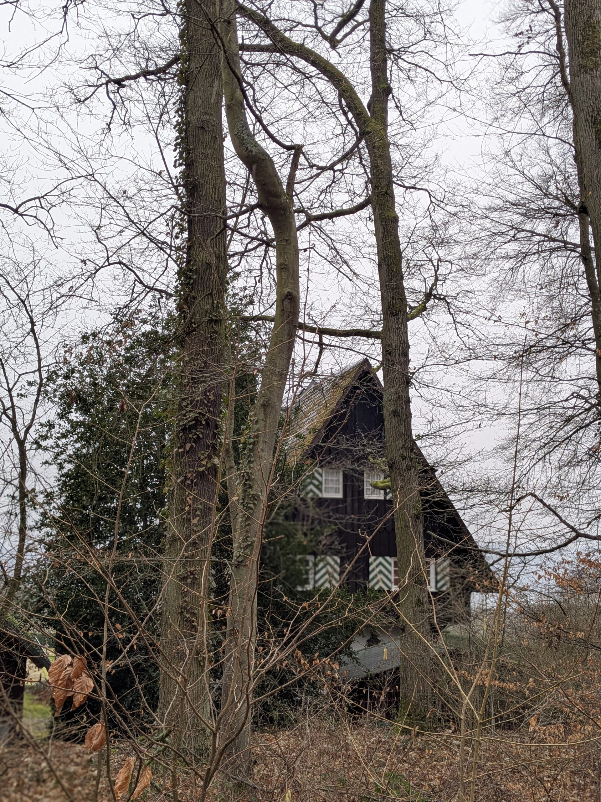 PXL_20260203_093438751.PORTRAIT