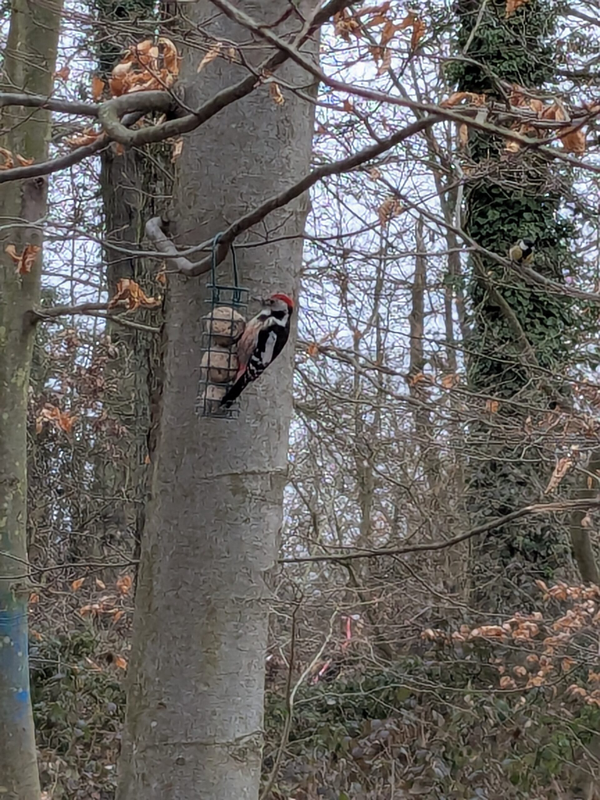 PXL_20260209_091001060