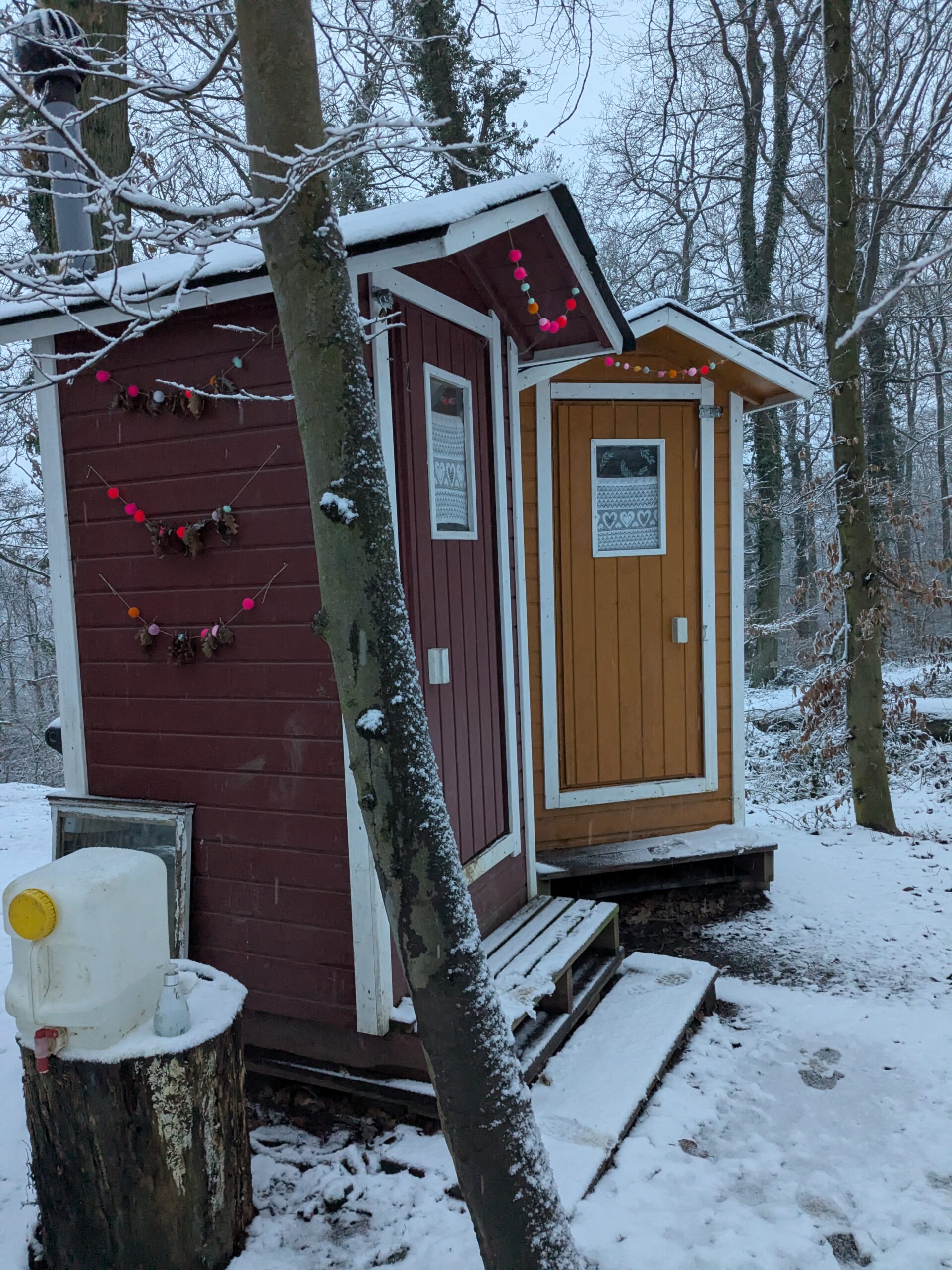 PXL_20260219_064040999