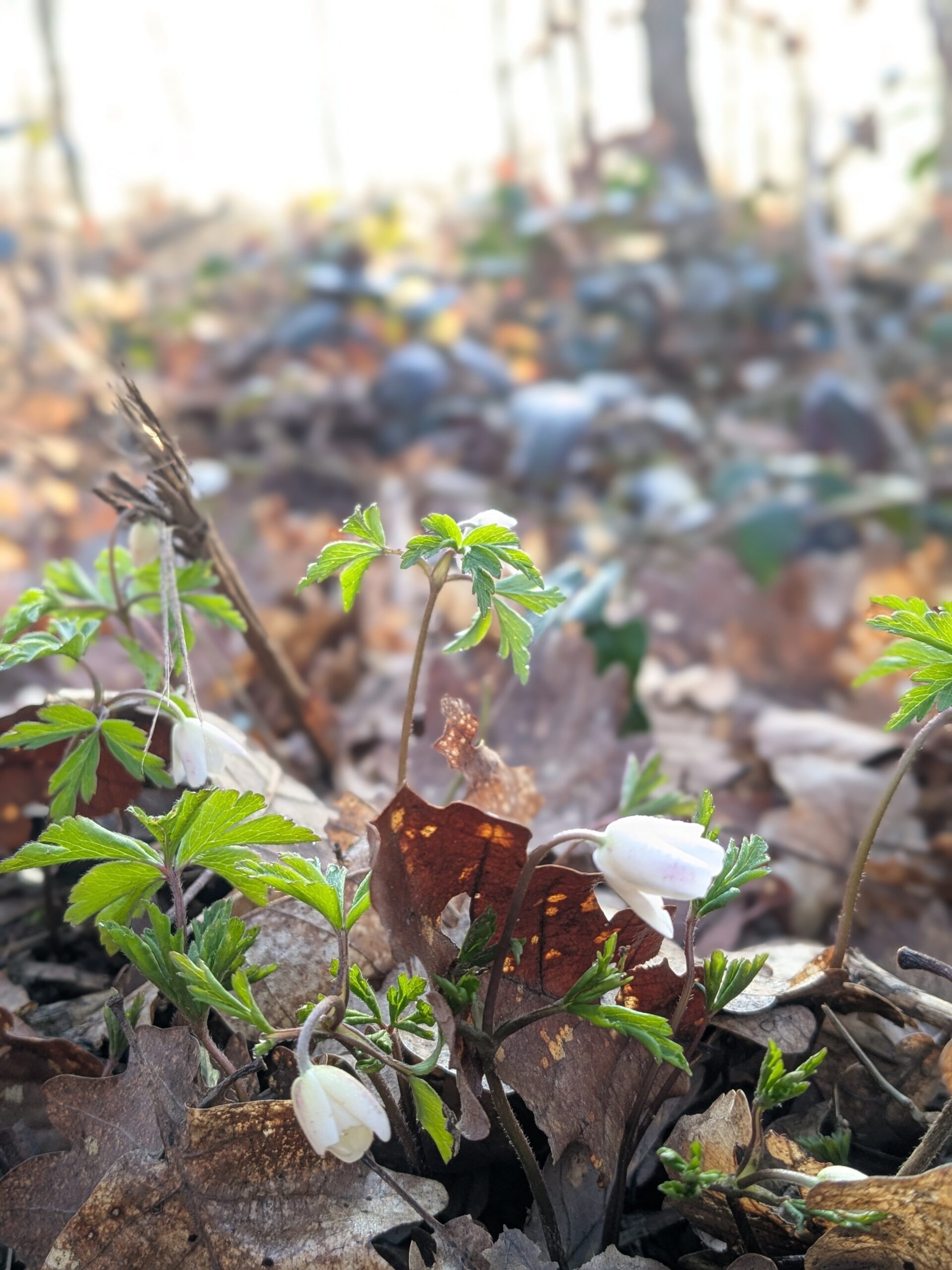 PXL_20260305_064812811.PORTRAIT