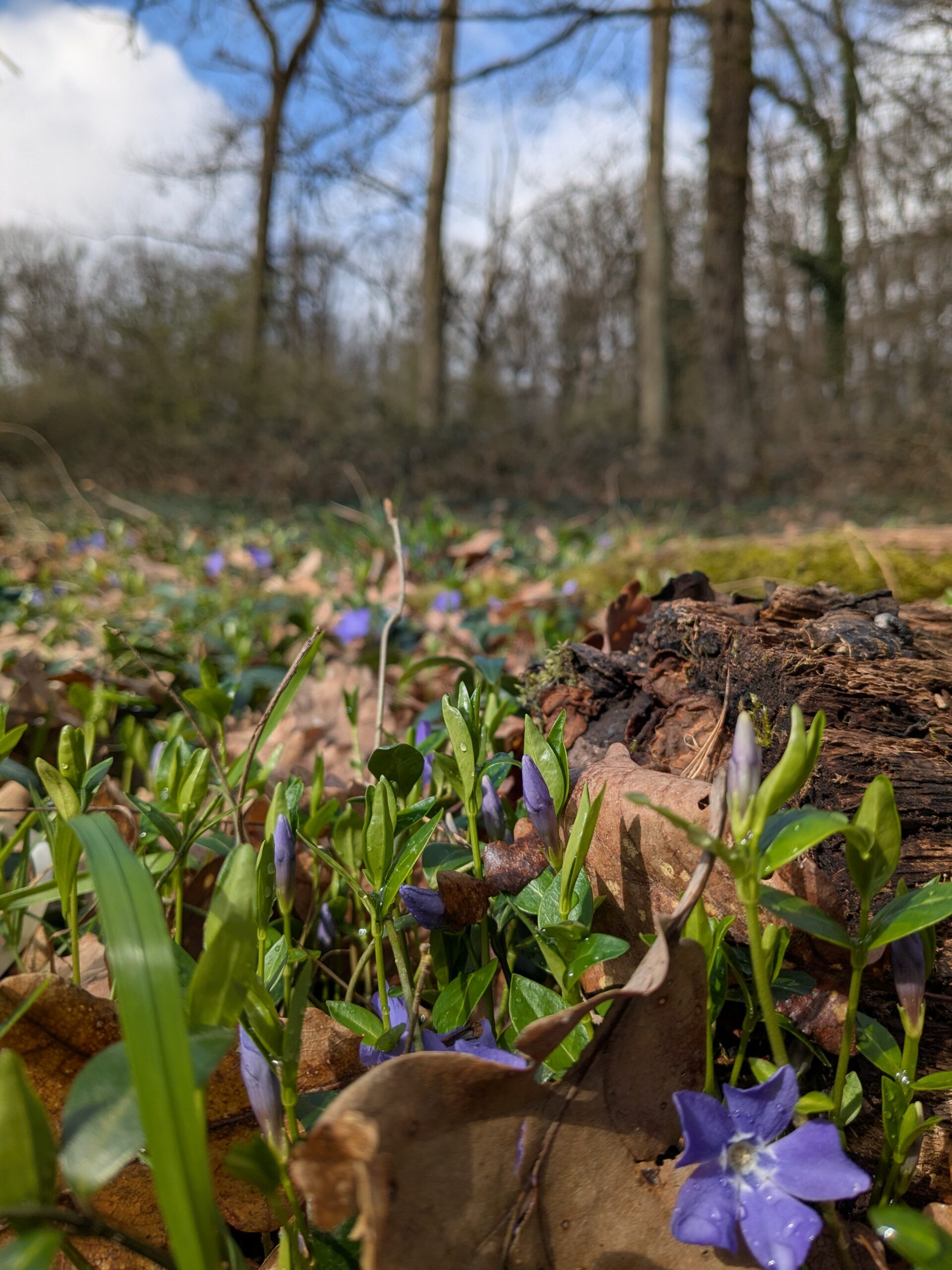 PXL_20260312_095139099