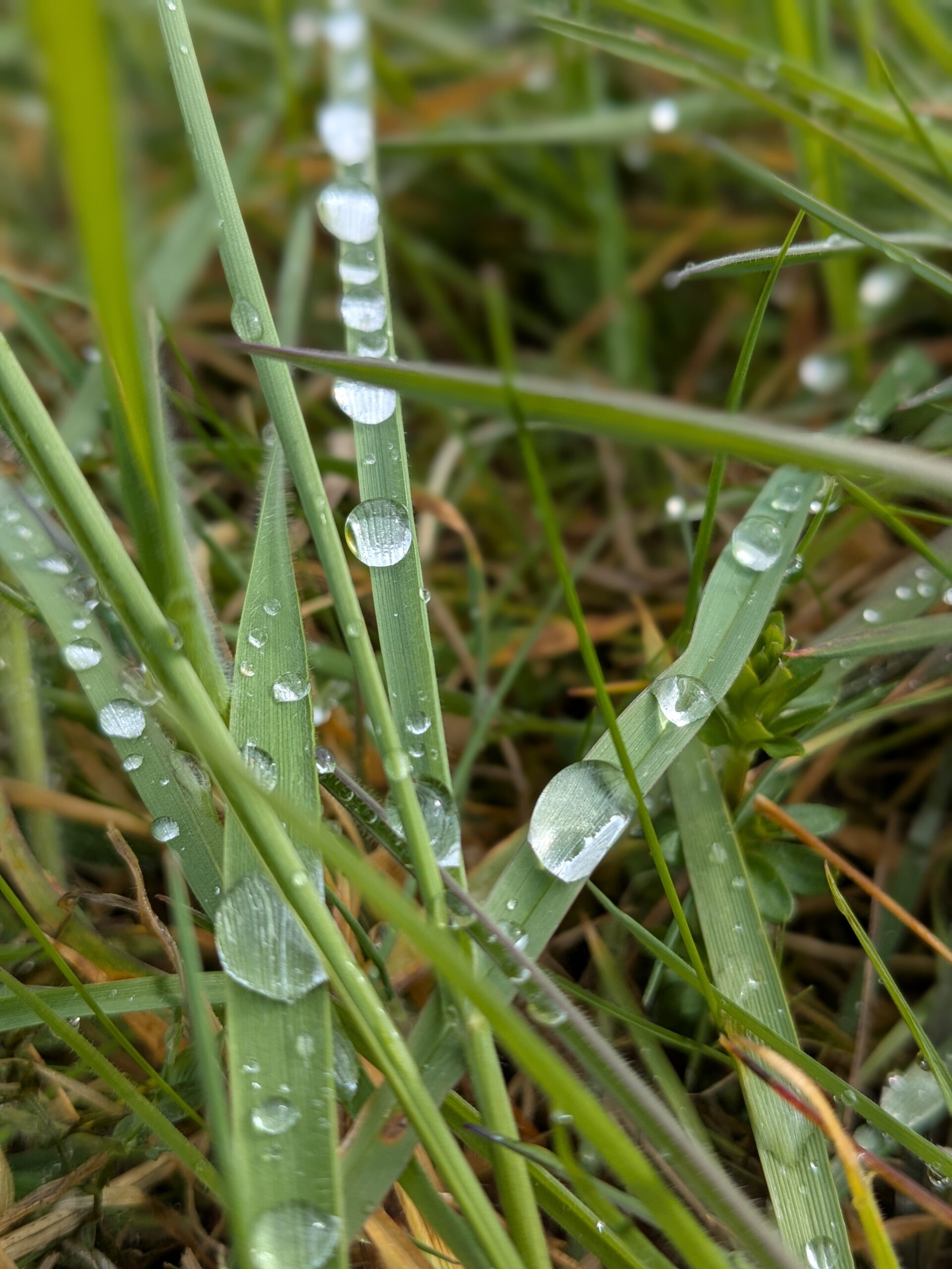 PXL_20260326_092604114.PORTRAIT