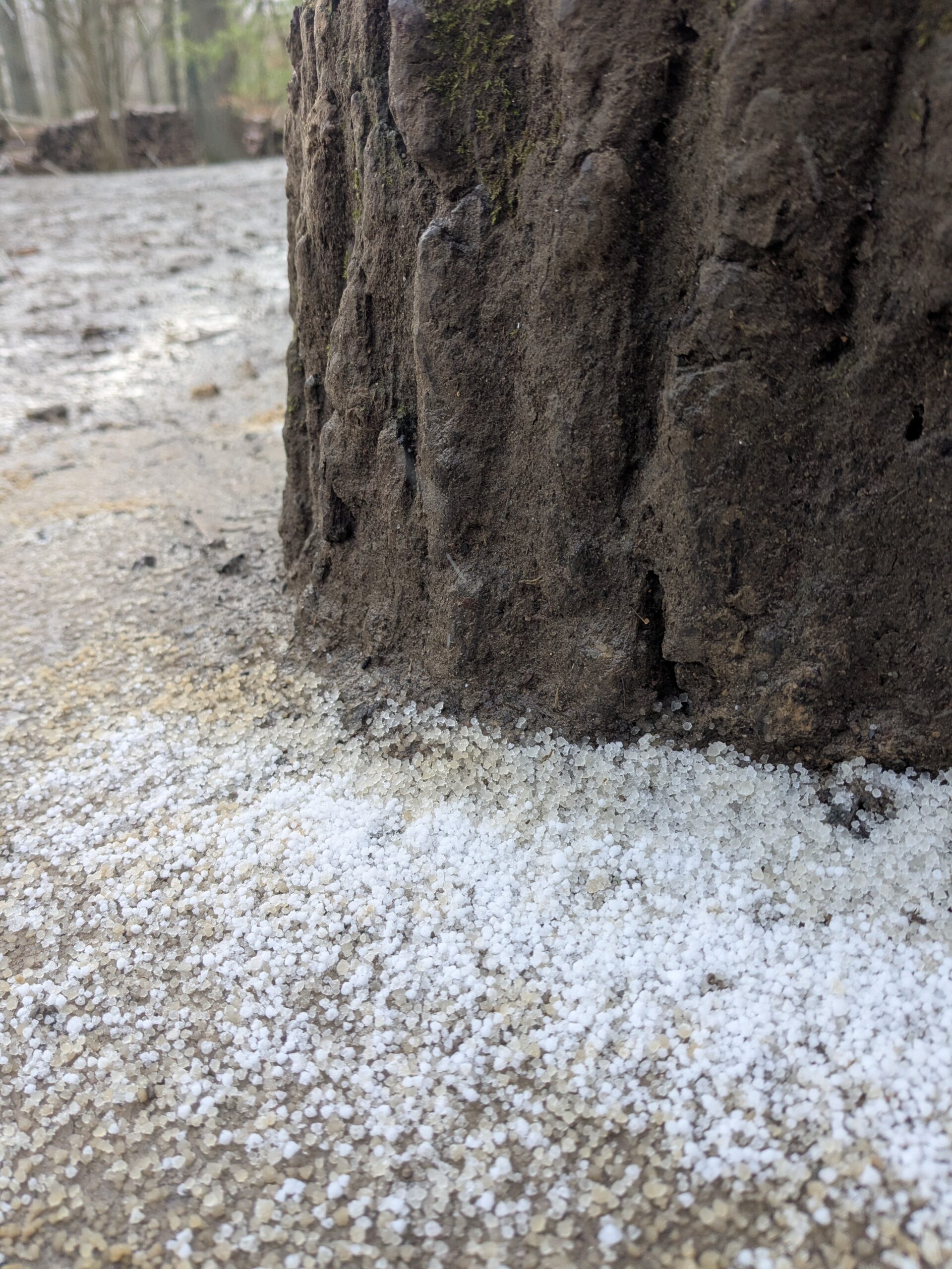 PXL_20260326_100059821