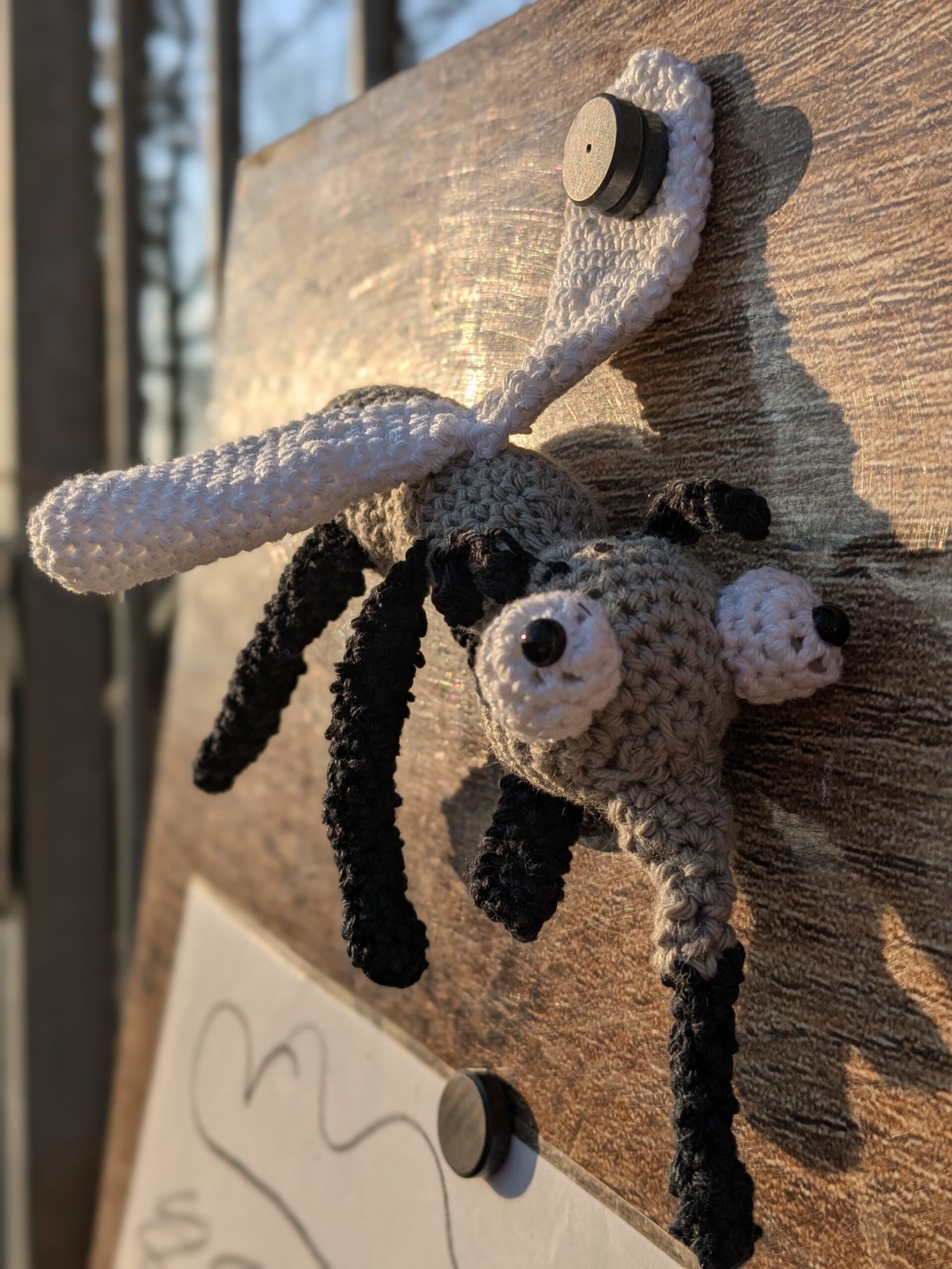 PXL_20260319_064904276.PORTRAIT