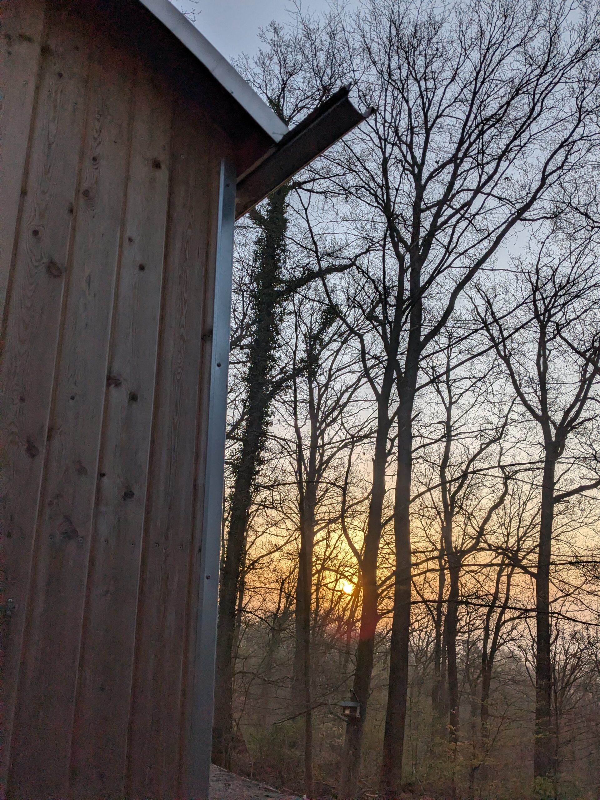 PXL_20260401_052115897.MP