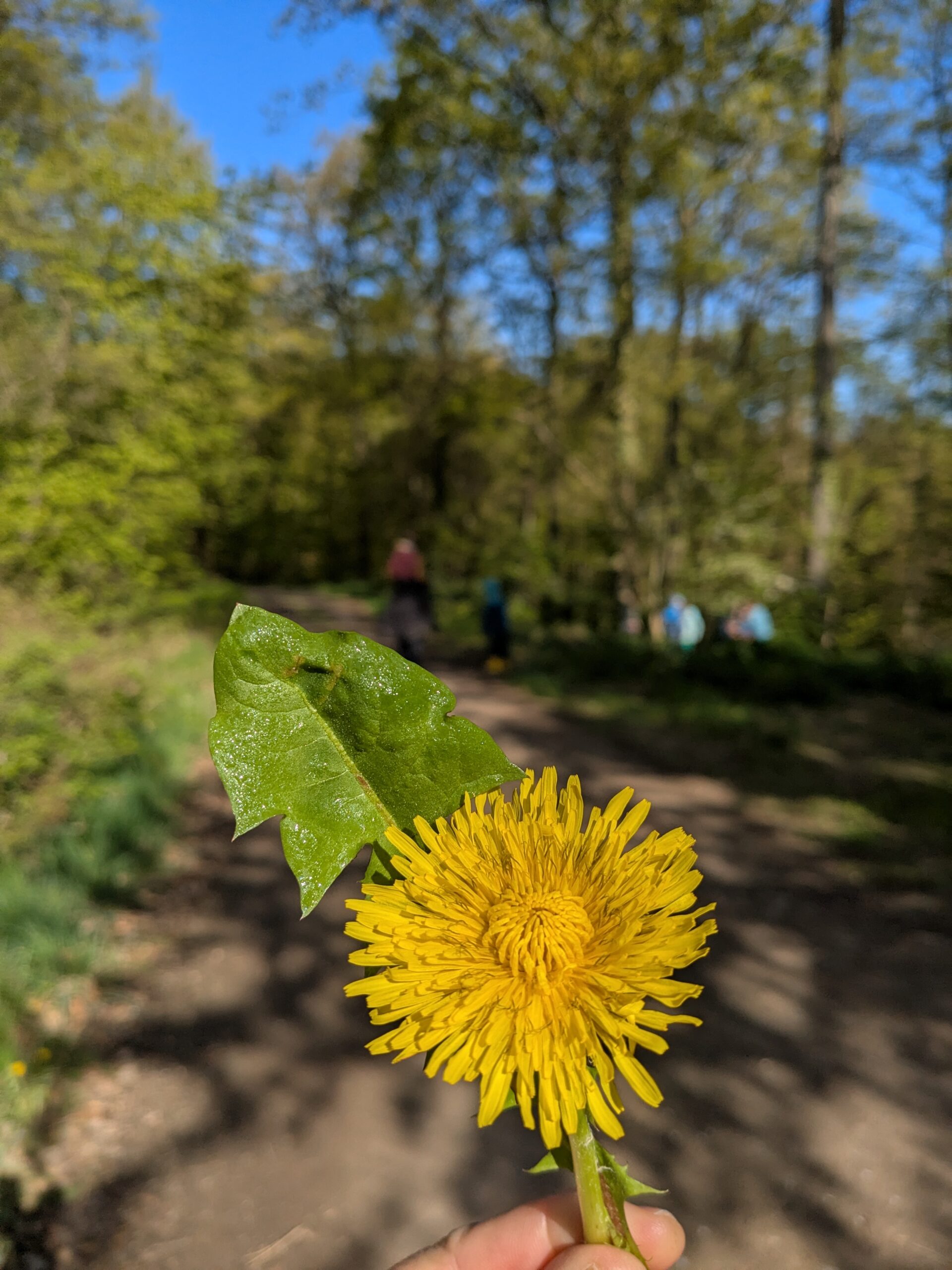 PXL_20260417_075846208(1)