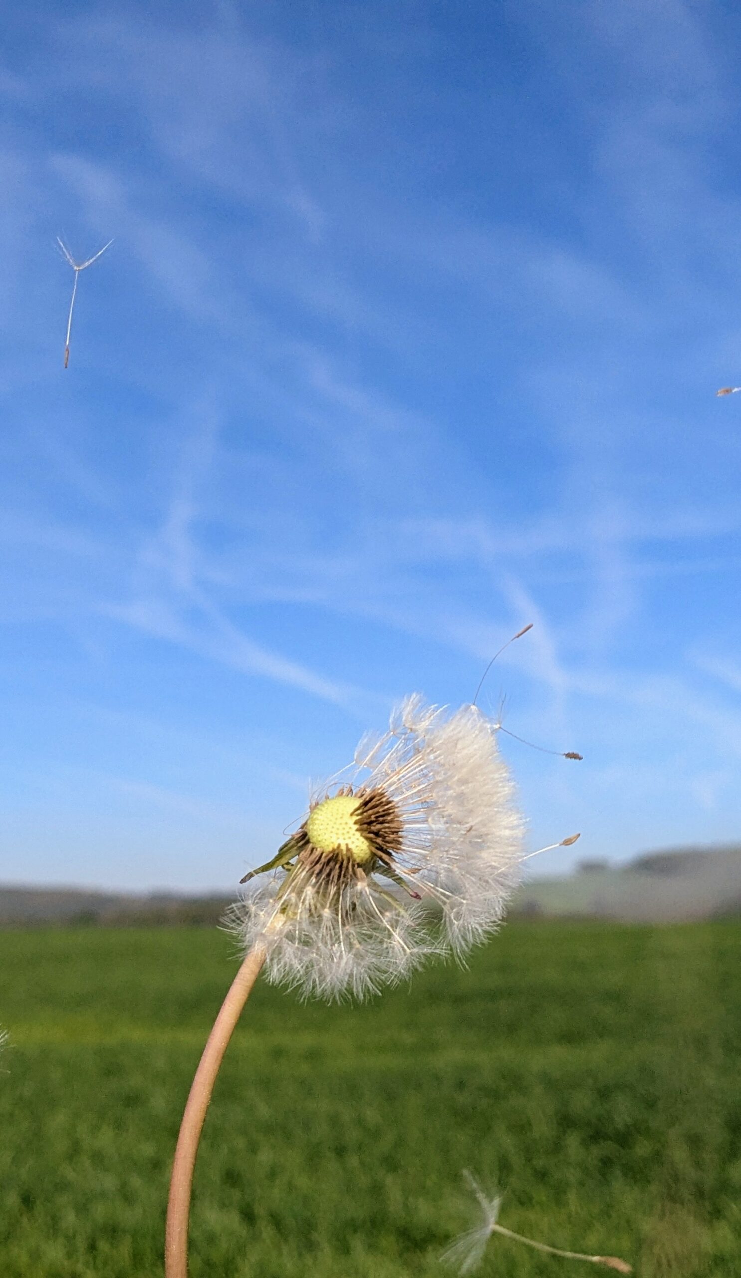 PXL_20260424_073521415.PORTRAIT.ORIGINAL~2